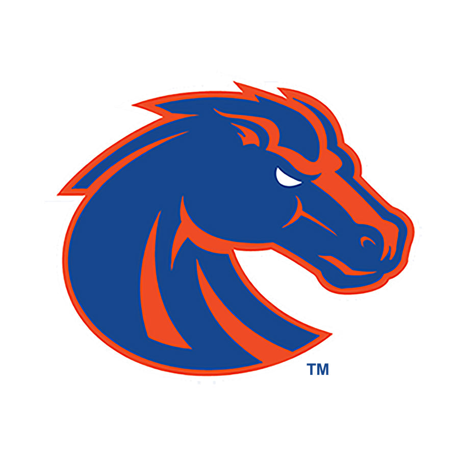 Boise State Broncos