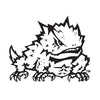 TCU Horned Frogs