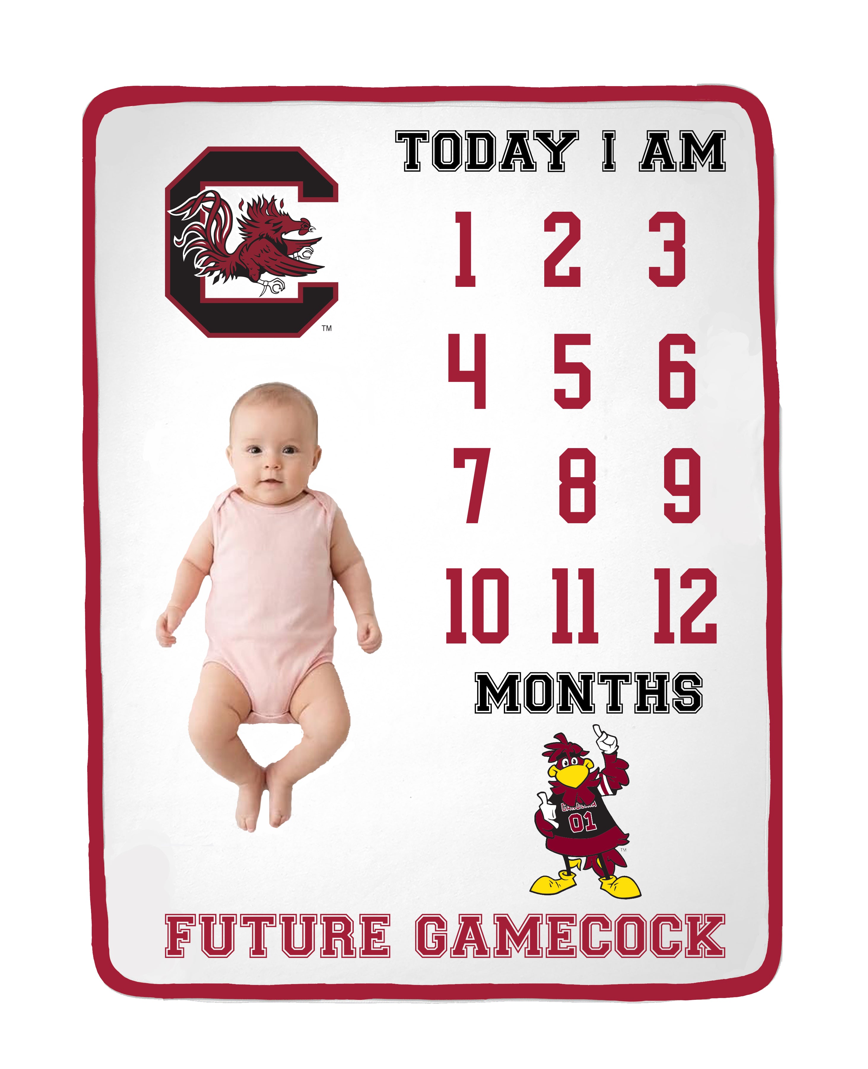 South Carolina Gamecocks Baby Milestone Blanket